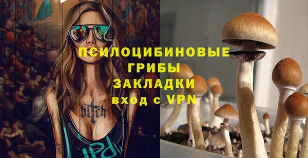 дживик Алзамай