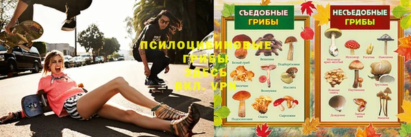 дживик Алзамай