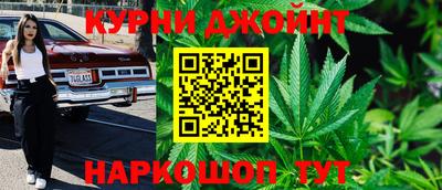 гашик Дубна
