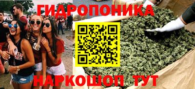гашик Дубна