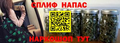 гашик Дубна