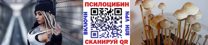 OMG как войти  Добрянка  Галлюциногенные грибы Cubensis 