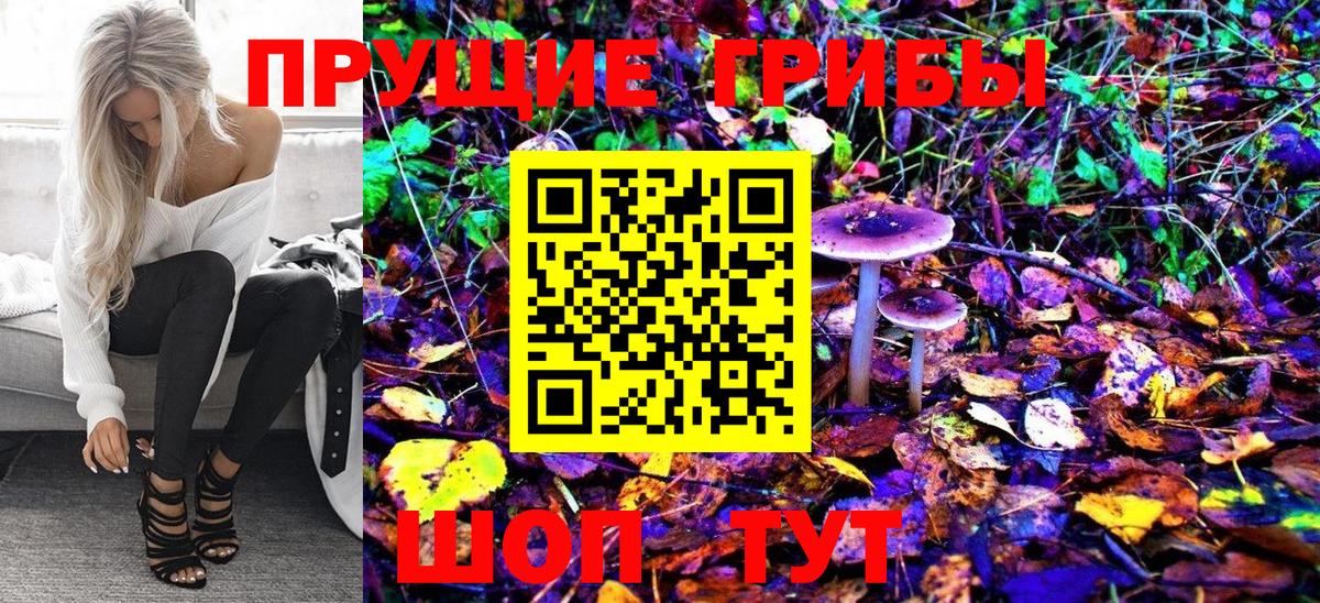 Галлюциногенные грибы Psilocybe  Вход с VPN  Добрянка 
