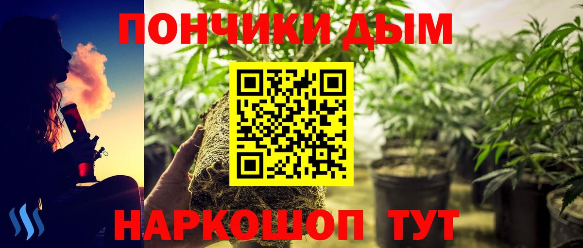 Конопля OG Kush Добрянка
